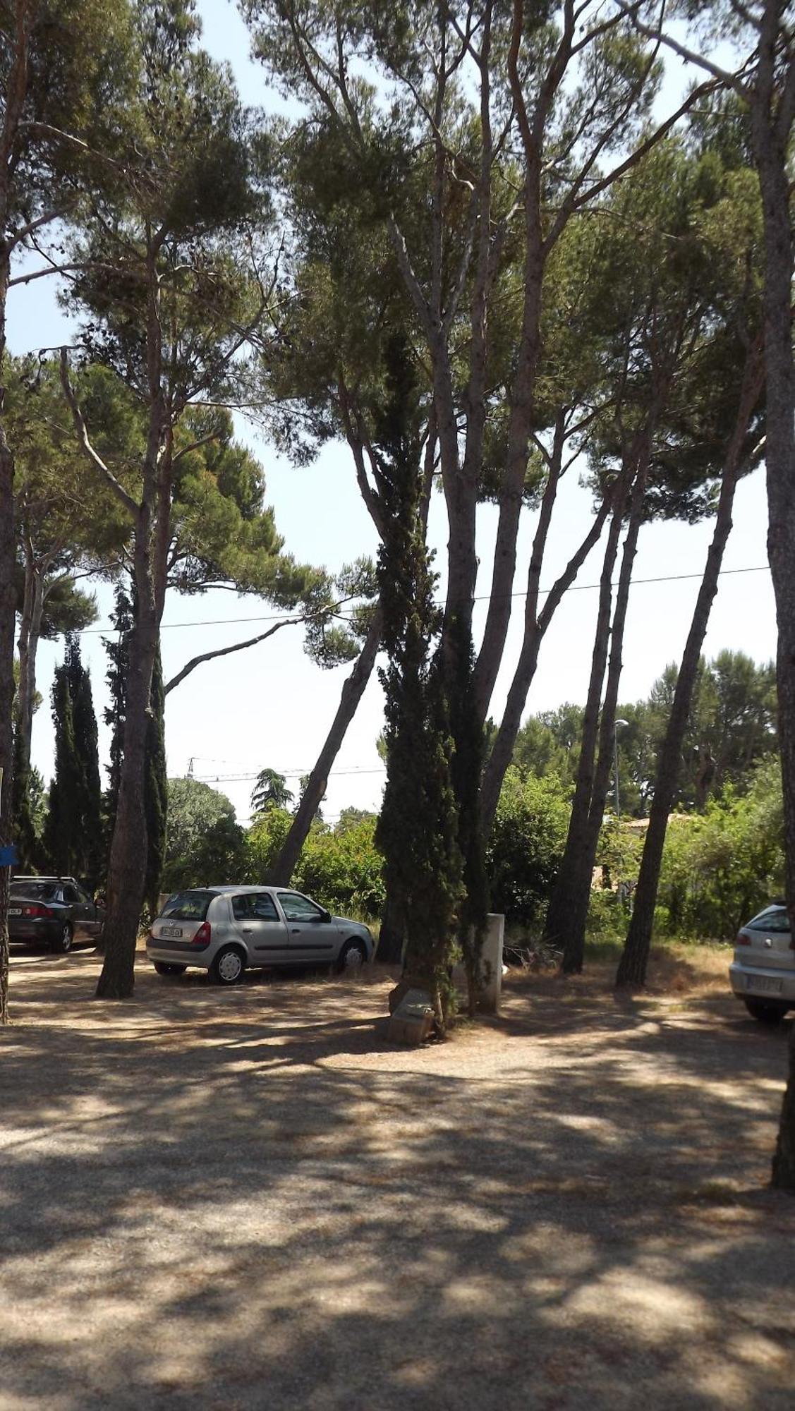 Rvapartaments Treumal Park Platja d'Aro Bagian luar foto